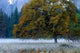Yosemite Valley 2 Wall Mural