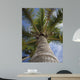 Palm