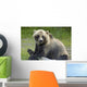 Bear Pose Wall Mural