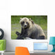 Bear Pose Wall Mural