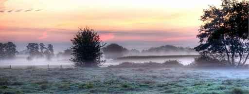 Morgennebel Wall Decal