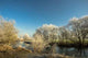 Winter Impressions Wall Mural