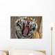 Snarling tiger Wall Mural