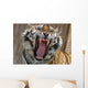 Snarling tiger Wall Mural
