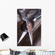 Hair Wall Mural
