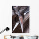 Hair Wall Mural