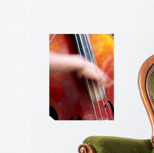 Jazz Basse Wall Mural