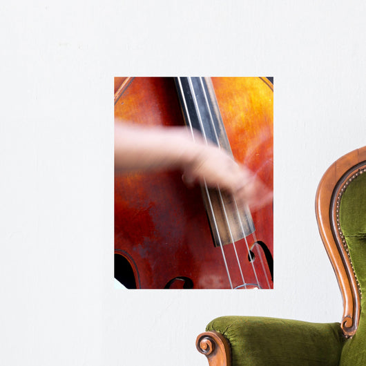 jazz basse Wall Mural