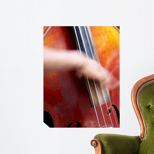 jazz basse Wall Mural