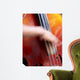 jazz basse Wall Mural