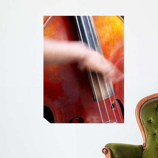 jazz basse Wall Mural