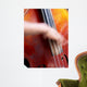 jazz basse Wall Mural