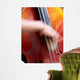 jazz basse Wall Mural