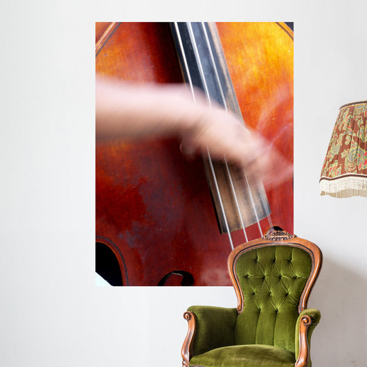jazz basse Wall Mural