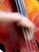 jazz basse Wall Mural