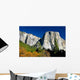 El Capitan Wall Decal Design 2