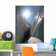 Inside Crevasse Wall Decal