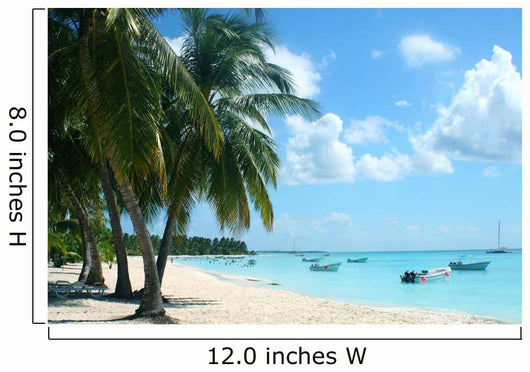 palm trees and boats on tropical island Wall Mural