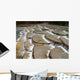 Unique River Bed Formation Wall Decal