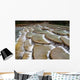 Unique River Bed Formation Wall Decal