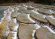 Unique River Bed Formation Wall Decal