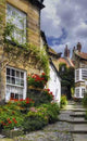 Village Homes Wall Decal Design 2