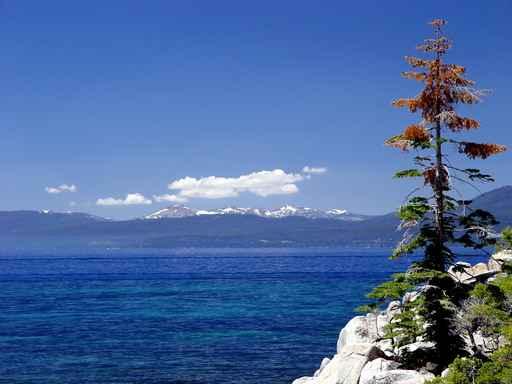 Lake Tahoe Wall Mural