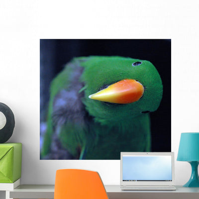 Parrot-parrot Wall Mural shown on a wall