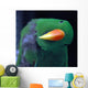 Parrot-Parrot Wall Mural