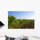 Sowing Sugar Beets Wall Decal