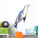 Watercolor Seal Hand-drawn Illustration Wall Decal