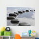 Stepping Stones Wall Mural