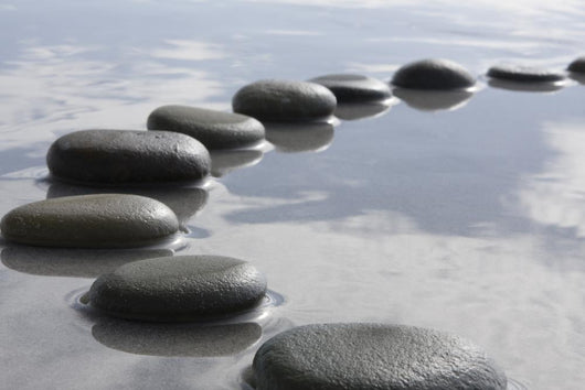 Stepping Stones Wall Mural