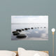 stepping stones Wall Mural