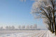 Feld im Winter Wall Decal