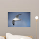 Fly Wall Mural