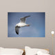 Fly Wall Mural