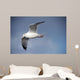 Fly Wall Mural