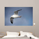 Fly Wall Mural