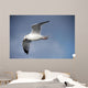 Fly Wall Mural