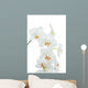 Orchids