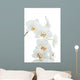 Orchids