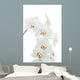 Orchids
