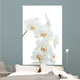 Orchids