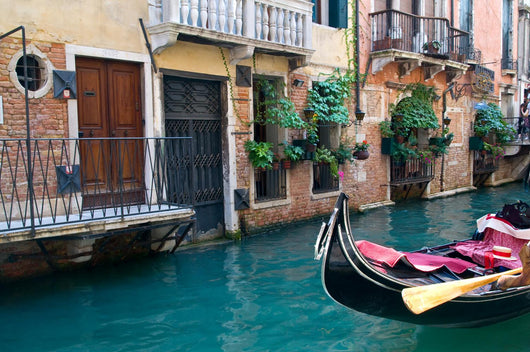 Venice Wall Mural