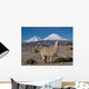 Alpaka Vor Vulkan Parinacota Wall Decal