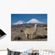 Alpaka Vor Vulkan Parinacota Wall Decal