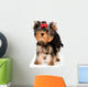 Puppy of the terrier in studio Wall Decal