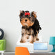 Puppy of the terrier in studio Wall Decal