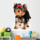 Puppy of the terrier in studio Wall Decal